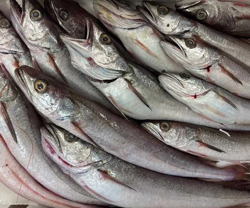 Cassetta di pesce fresco per forniture ittiche a Roma